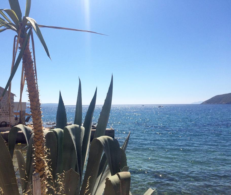 Villa Lavendel Trogir Exteriér fotografie
