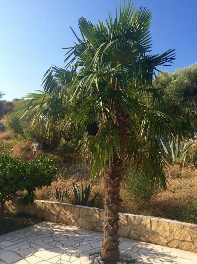 Villa Lavendel Trogir Exteriér fotografie